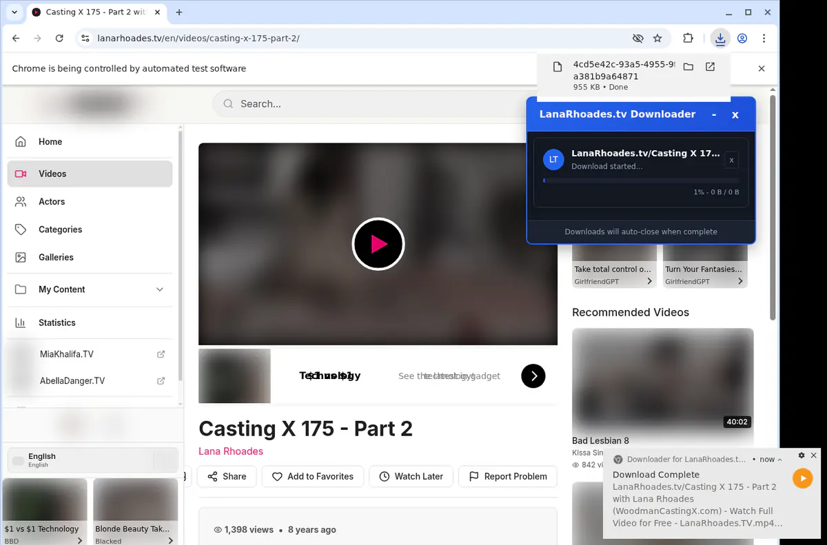 Lanarhoadestv Video Downloader browser extension screenshot 2