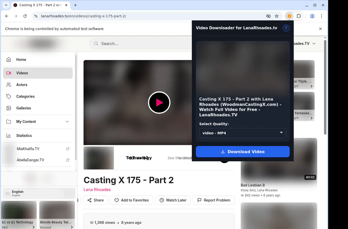 Lanarhoadestv Video Downloader browser extension screenshot 3